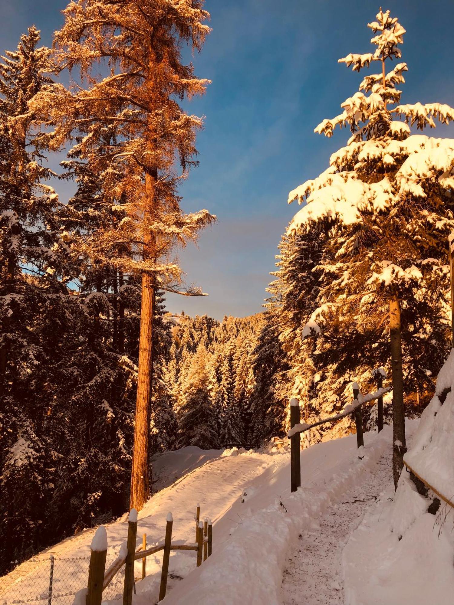 קאבאלס Chalet Tschattlhof Dolomites מראה חיצוני תמונה