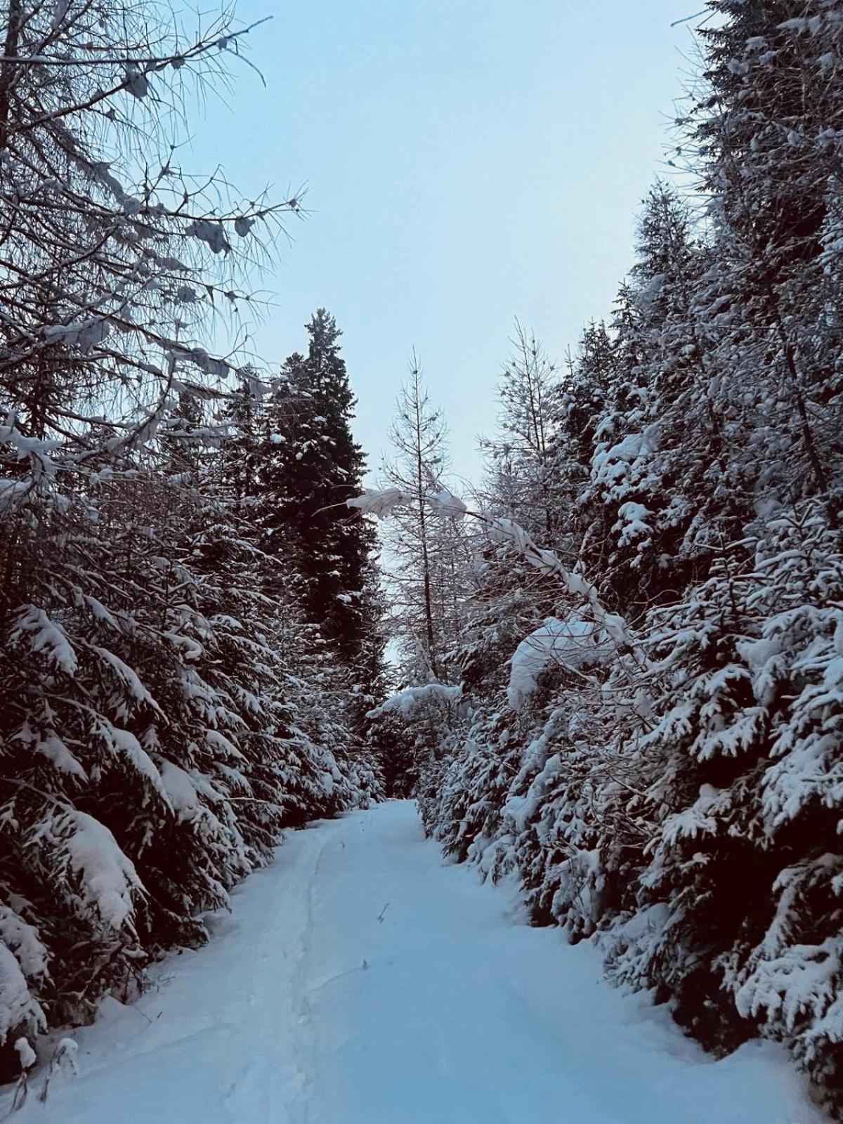 קאבאלס Chalet Tschattlhof Dolomites מראה חיצוני תמונה